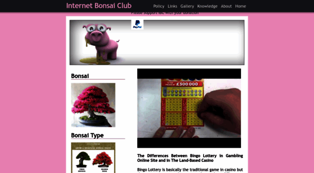 internetbonsaiclub.org