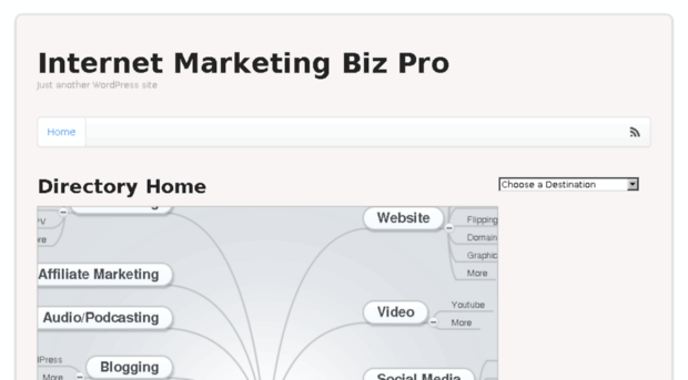 internetmarketingbizpro.com