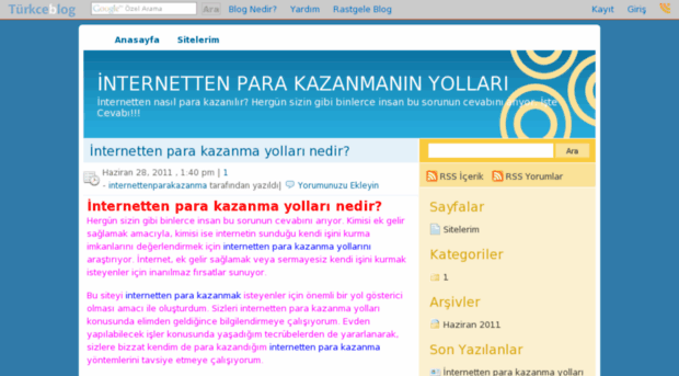 internettenparakazanma.turkceblog.com