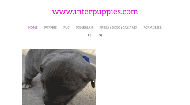 interpuppies.com