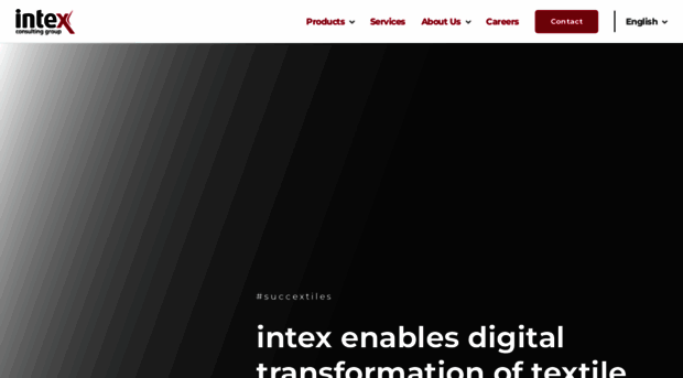 intex-consulting.com