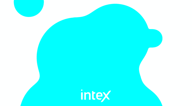 intexagency.com