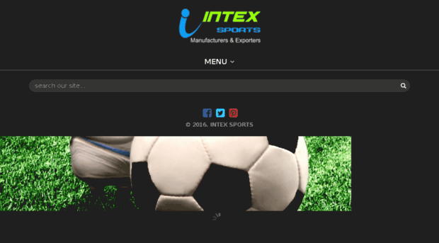 intexsports.com