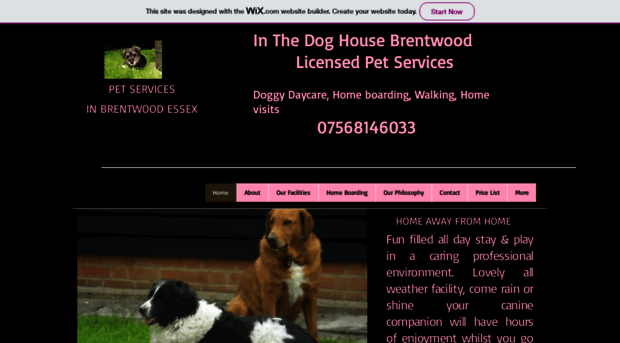 inthedoghousebrentwood.com