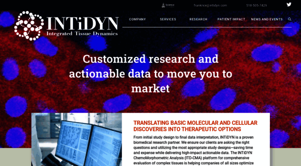 intidyn.com