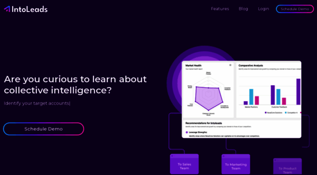 intoleads.ai