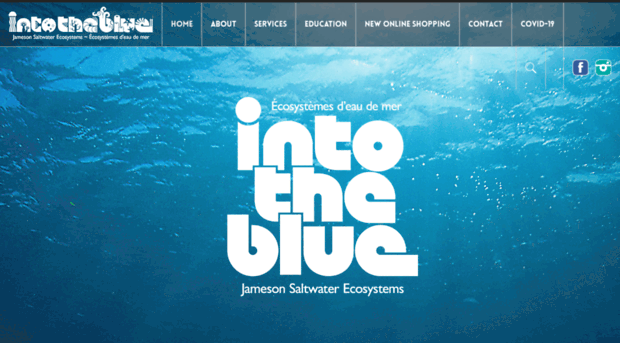 intotheblueeco.ca