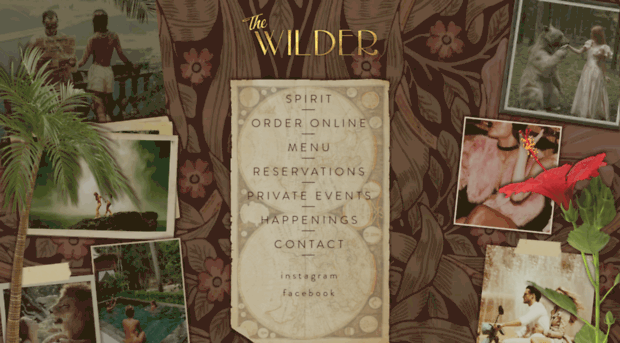 intothewilder.com