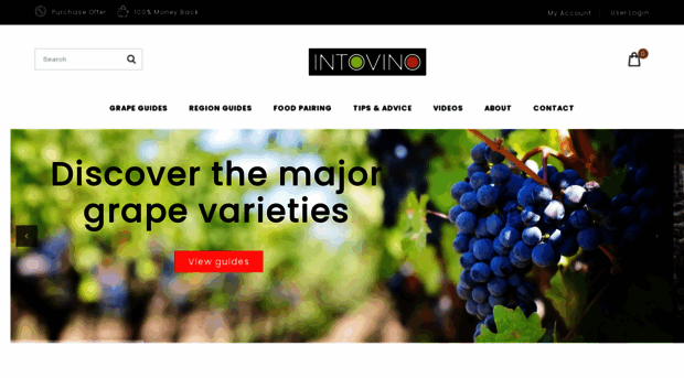 intovino.com