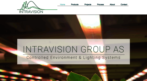 intravisiongroup.com