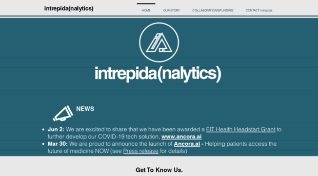 intrepid-analytics.com