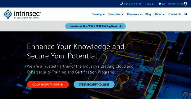 intrinsecsecurity.com