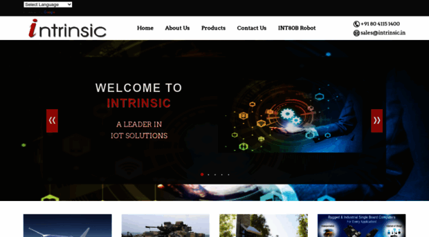 intrinsic.in