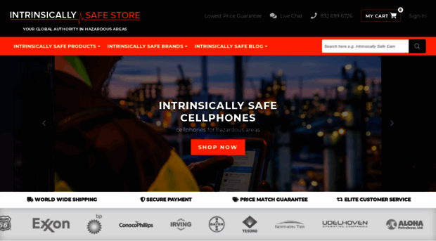 intrinsicallysafestore.com