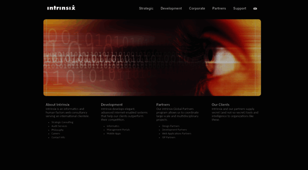 intrinsix.net