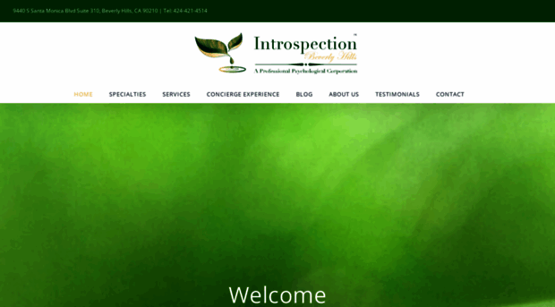 introspectionbeverlyhills.com