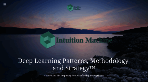 intuitionmachine.com