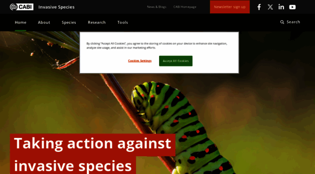 invasive-species.org