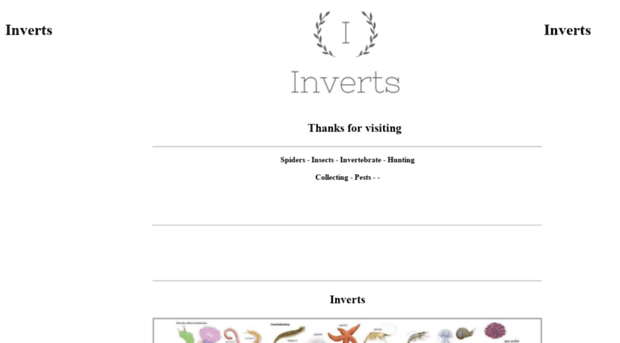 inverts.com.au