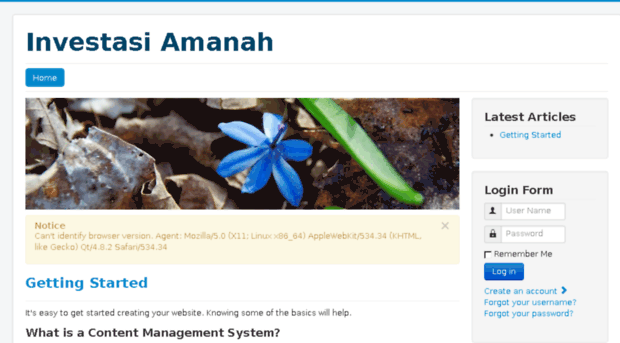 investasi-amanah.com