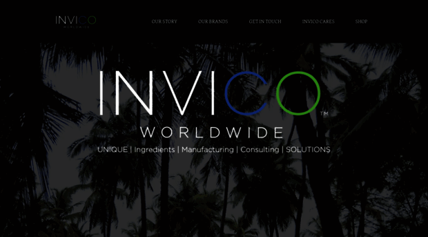 invicoworldwide.com