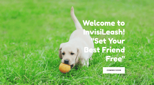 invisileash.com