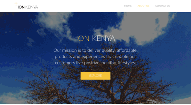 ionkenya.com