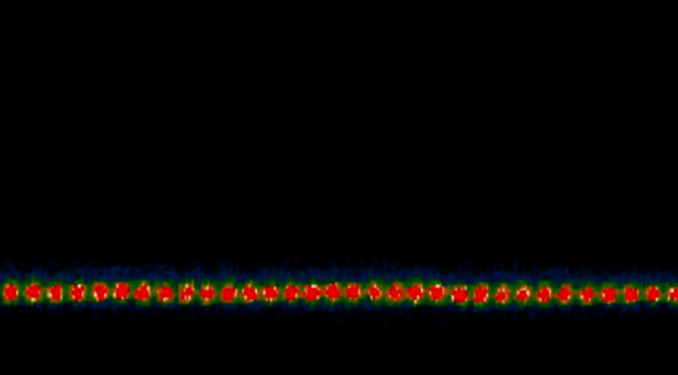 iontrap.umd.edu