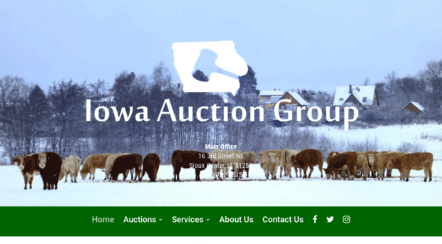 iowaauctiongroup.com