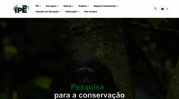 ipe.org.br