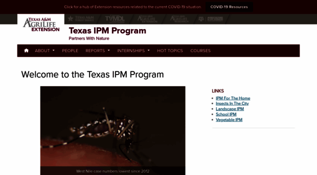 ipm.tamu.edu