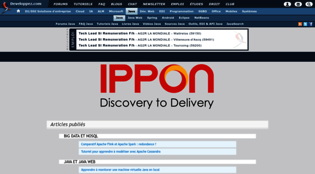 ippon.developpez.com