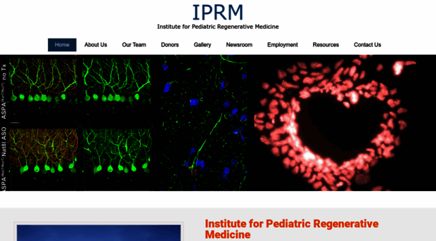 iprmd.org