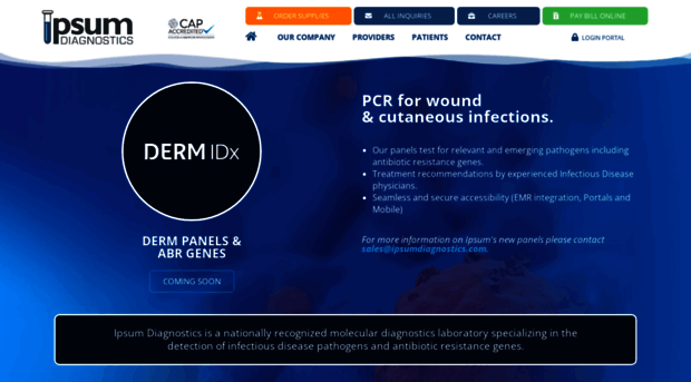 ipsumdiagnostics.com