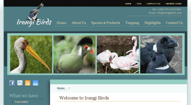irangibirds.com