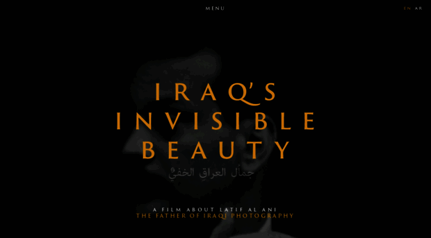 iraqsinvisiblebeauty.com