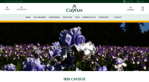 iris-cayeux.com