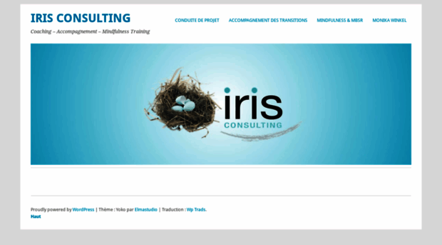 iris-consulting.fr