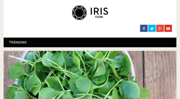 irisflow.com