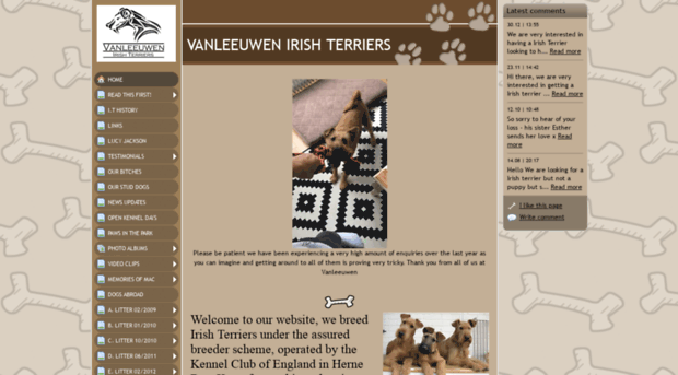 irish-terriers.info