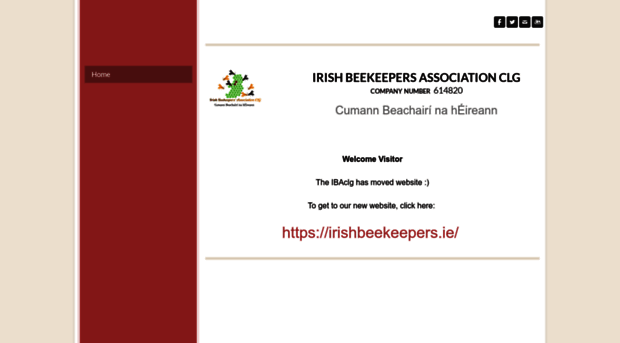 irishbeekeepersassociation.com