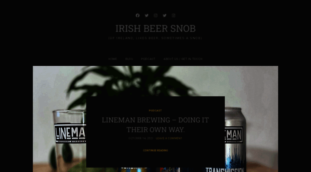 irishbeersnob.com