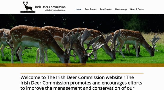 irishdeercommission.ie