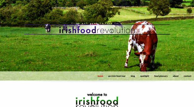 irishfoodrevolution.com