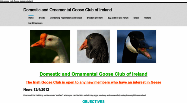 irishgooseclub.weebly.com