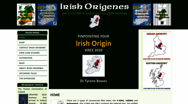 irishorigenes.com