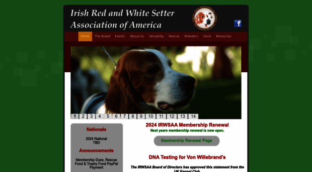 irishredwhitesetterassociation.com