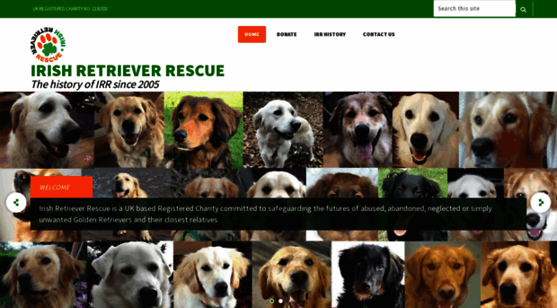 irishretrieverrescue.com