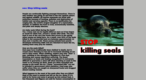 irishsealsanctuary.com