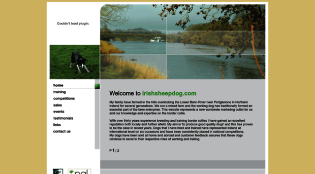 irishsheepdog.com